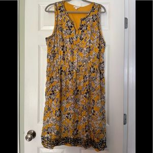 Mustard navy and white color